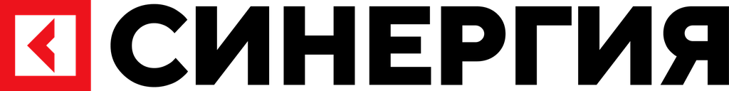 Корпорация «Синергия»